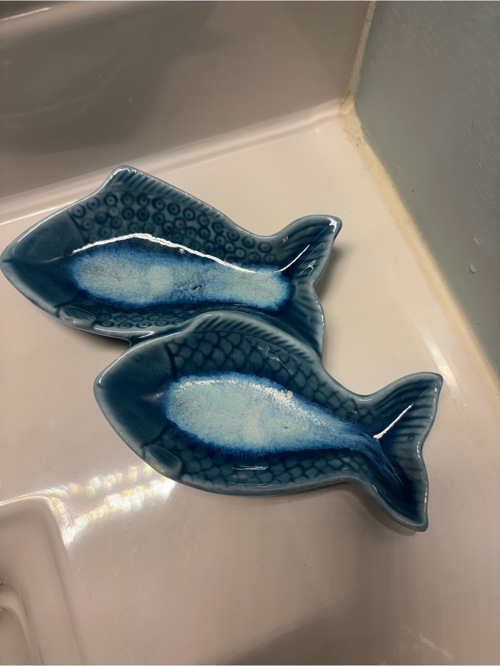 Ceramic double fish dish